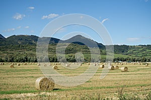 Straw rolls on meadow near forest during autumn. Slovakia