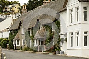 Straw roof cottage with vine at St. Mawes, Cornwall