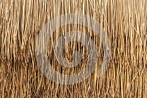 Straw roof from dry grass, Close up yellow straw wall texture background