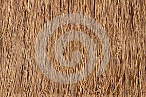 Straw Roof Texture for Background