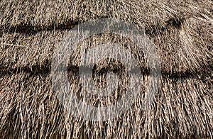 Straw Roof texture