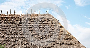 Straw Roof texture