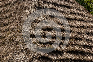 Straw Roof texture. Grasses thatch roof background texture. Roof covered with dried grass. Straw pattern