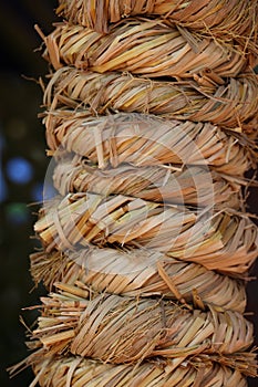 Straw ropes