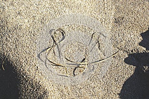 Straw shaped as musical g clave on sandy beach grains