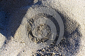 Straw shaped as musical g clave on sandy beach grains photo