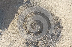 Straw shaped as musical g clave on sandy beach grains photo