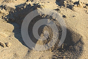 Straw shaped as musical g clave on sandy beach grains photo