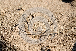 Straw shaped as musical g clave on sandy beach grains photo