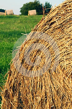 Straw stack with green grass and other bales in background