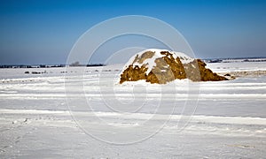 Straw stack. winter