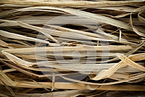 Straw stems photo