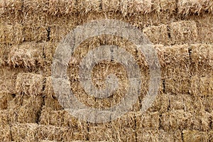 Straw, straw block cube background, dry straw backdrop. straw cube wall background