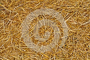 Straw texture photo