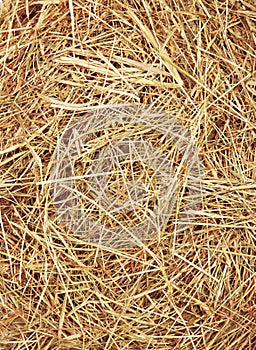 Straw texture