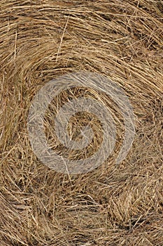 Straw texture