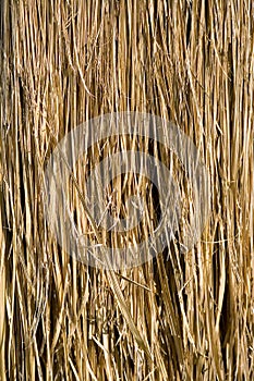 Straw Texture