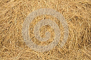 Straw texture background