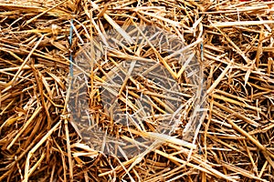 Straw texture for a background