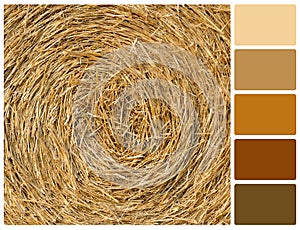 Straw texture background with palette color swatches