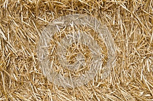 Straw texture