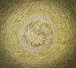 straw texture, collected in a roll of hay in summer sunlight.