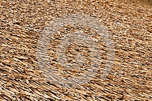 Straw Thatched Roof