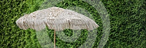 Straw umbrella on the background of a green fence. Umbrella on a tropical beach on a sunny day. Straw beach umbrella