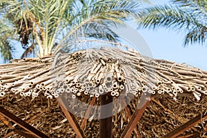 Straw umbrella at beach resort against blue sky. Close up. Abstract vacation and holiday background