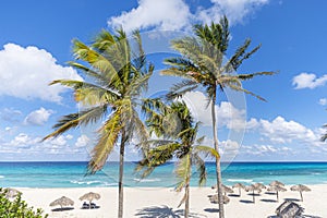 straw umbrella on tropical beach. green lush palm trees against a blue cloudy sky and turquoise water in sea. beautiful Caribbean