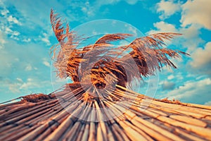 Straw umbrella on tropical sea beach