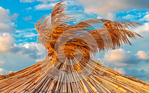 Straw umbrella on tropical sea beach