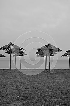 Straw umbrellas in an empty beach