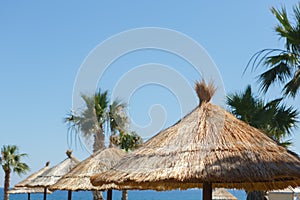 Straw umbrellas with palm trees on the beach against the sea and sky