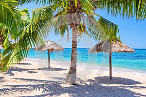 Straw umbrellas and palm trees on a tropical beach