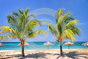 Straw umbrellas and palm trees on a tropical beach