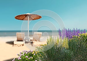 Straw  umbrellas Wild  flowers  on beach blue sky  loungers on white sand on horizon blue  sea tropical nature resort Greece