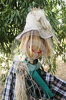 Straw and wood scarecrow dressed in plaid shirt with raised hand and gloves in the shadow of the botanical garden