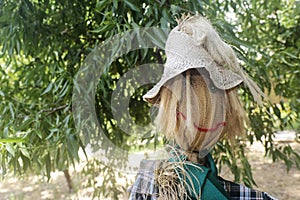 Straw and wood scarecrow dressed in plaid shirt with raised hand and gloves in the shadow of the botanical garden