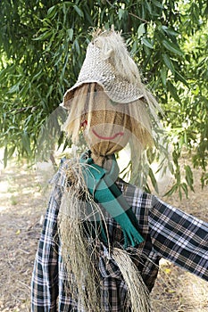 Straw and wood scarecrow dressed in plaid shirt with raised hand and gloves in the shadow of the botanical garden