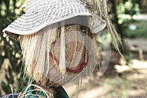 Straw and wood scarecrow dressed in plaid shirt with raised hand and gloves in the shadow of the botanical garden