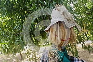 Straw and wood scarecrow dressed in plaid shirt with raised hand and gloves in the shadow of the botanical garden