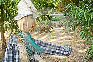 Straw and wood scarecrow dressed in plaid shirt with raised hand and gloves in the shadow of the botanical garden