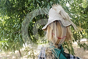 Straw and wood scarecrow dressed in plaid shirt with raised hand and gloves in the shadow of the botanical garden photo