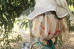 Straw and wood scarecrow dressed in plaid shirt with raised hand and gloves in the shadow of the botanical garden photo