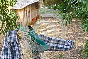 Straw and wood scarecrow dressed in plaid shirt with raised hand and gloves in the shadow of the botanical garden photo