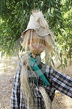 Straw and wood scarecrow dressed in plaid shirt with raised hand and gloves in the shadow of the botanical garden photo