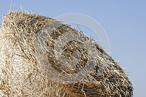 Strawbale