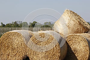 Strawbale
