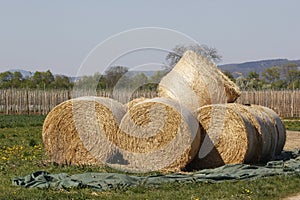 Strawbale